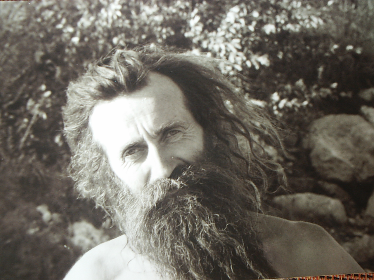 Bild 31 von 94  -  383 kB