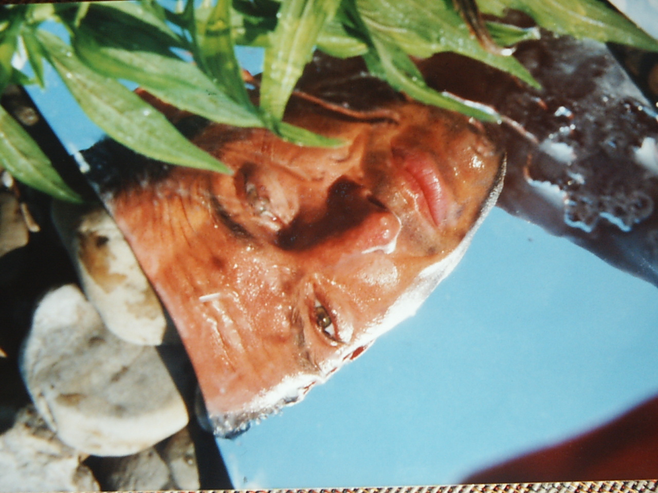 Bild 40 von 94  -  361 kB