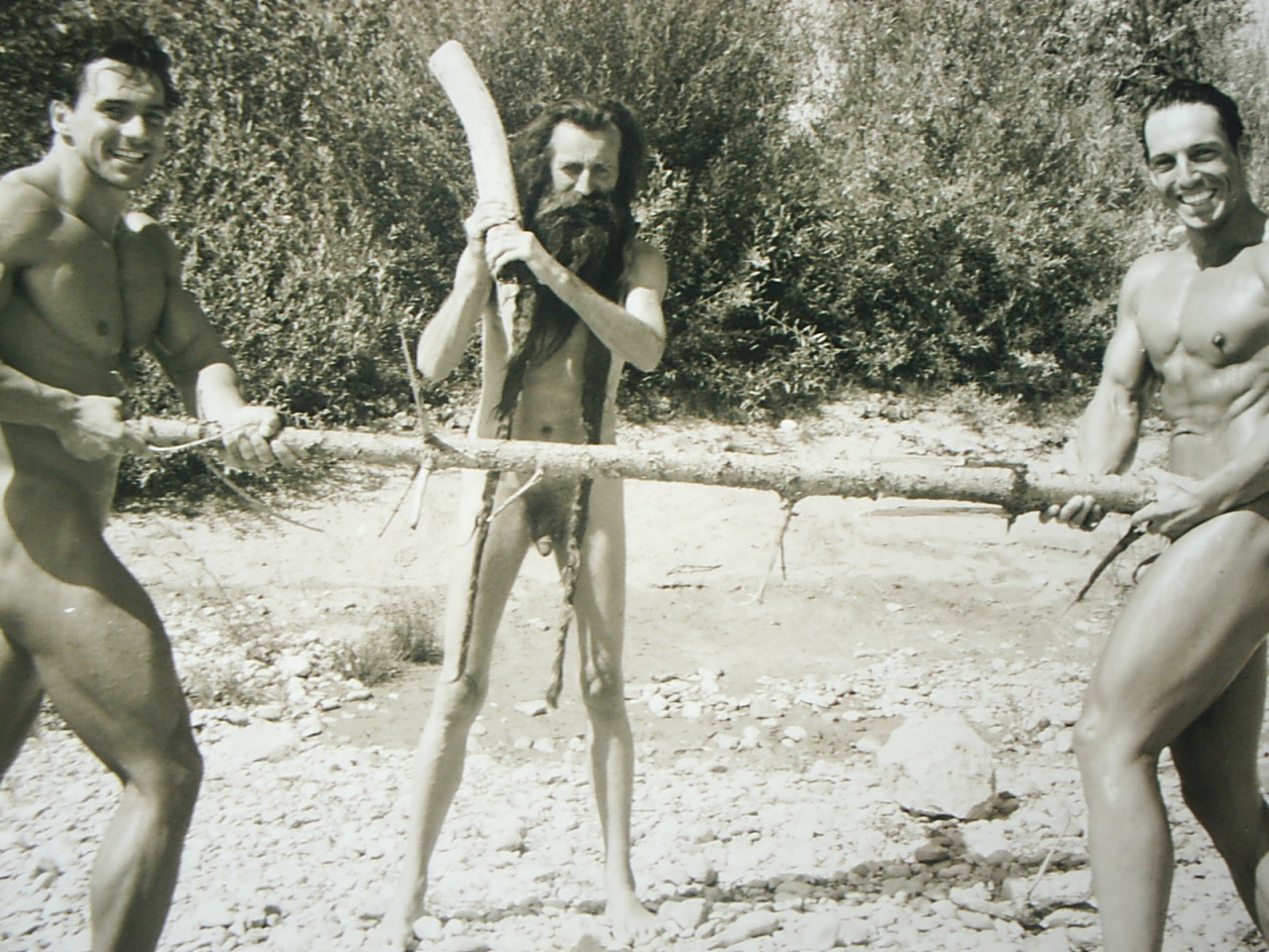 Bild 49 von 94  -  512 kB