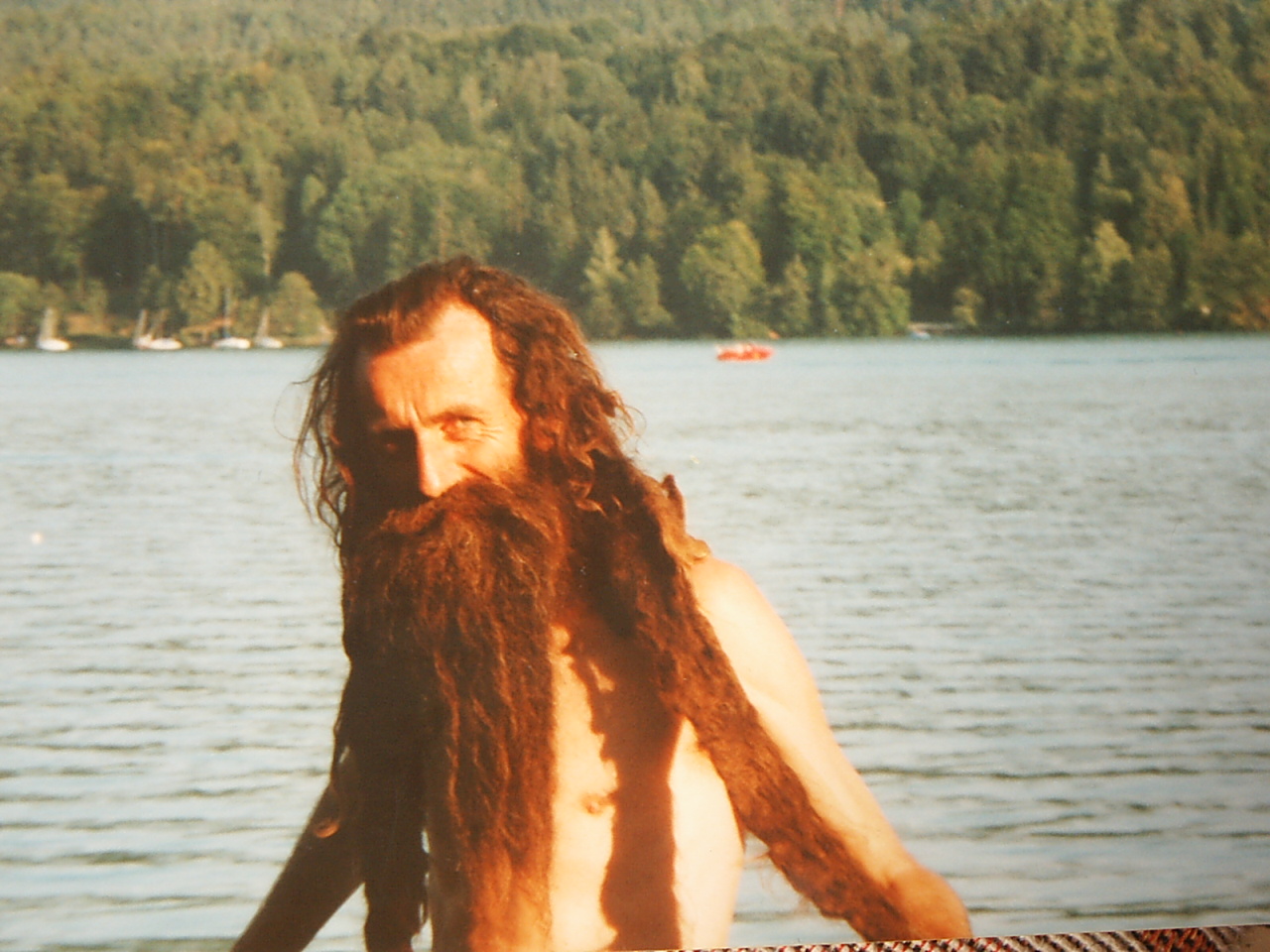 Bild 51 von 94  -  371 kB