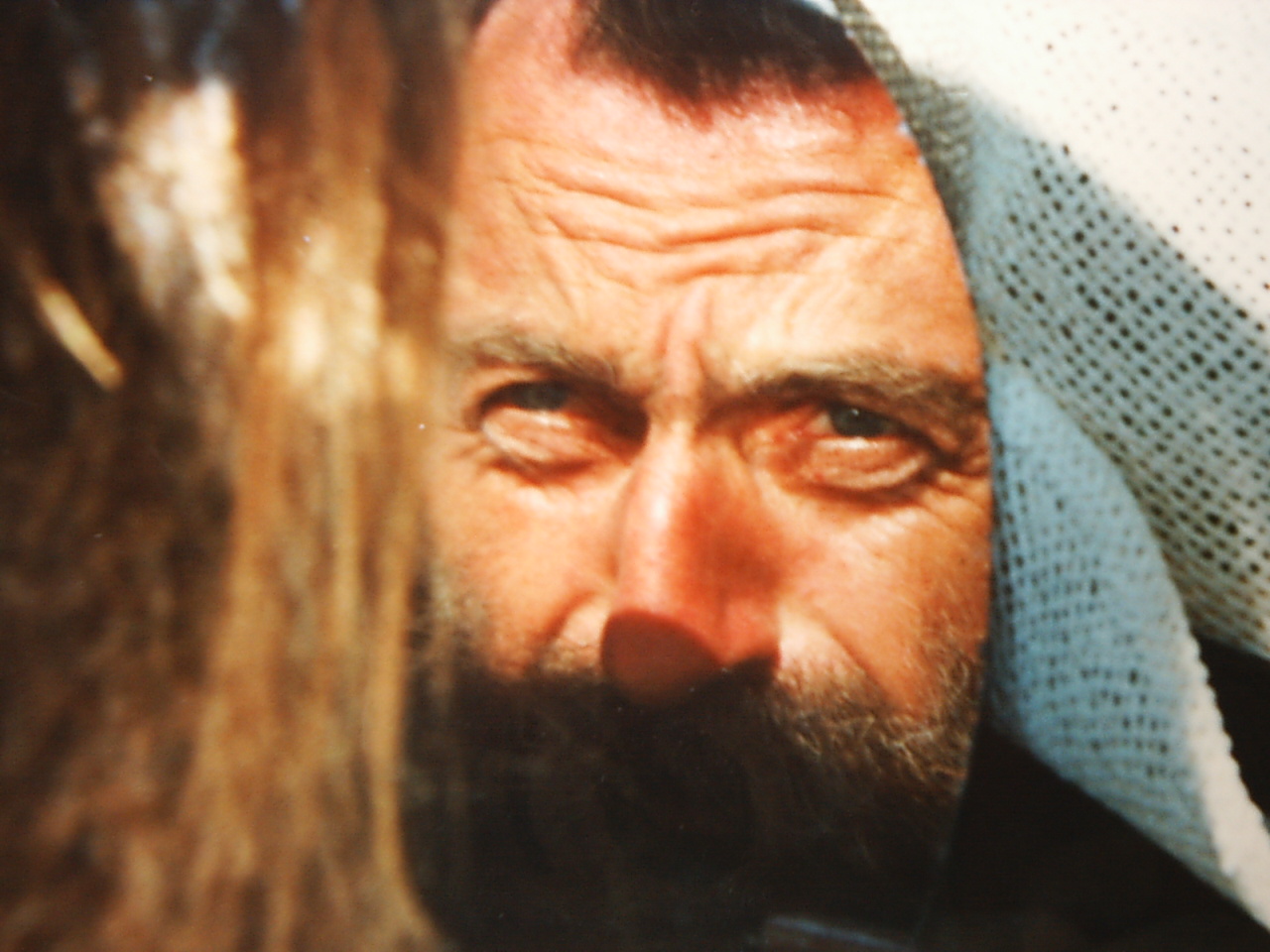 Bild 61 von 94  -  323 kB