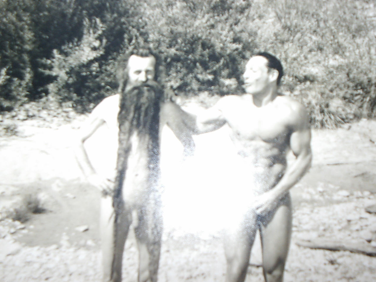 Bild 88 von 94  -  323 kB