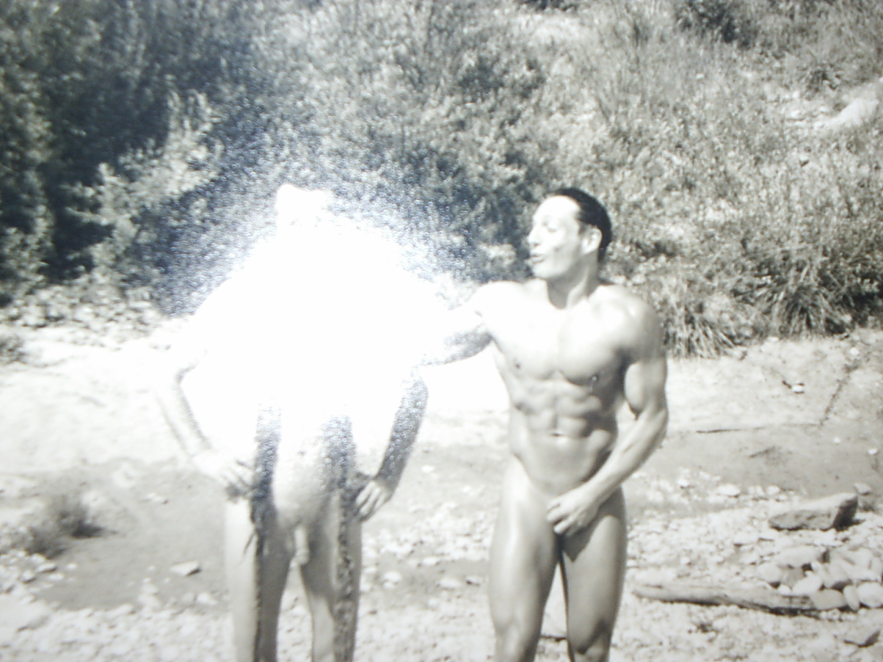 Bild 91 von 94  -  384 kB